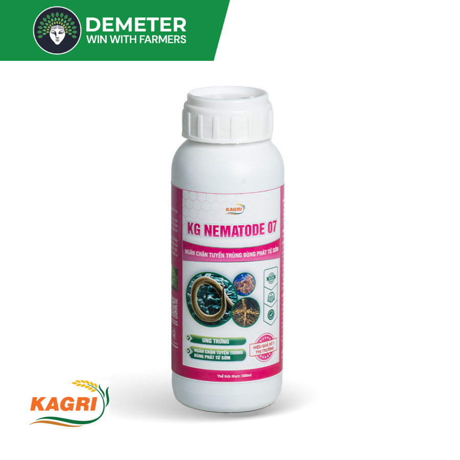 Image Product